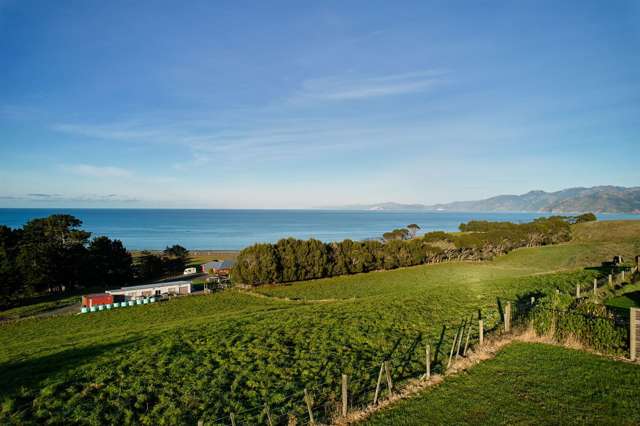 23 Miromiro Drive Kaikoura_4