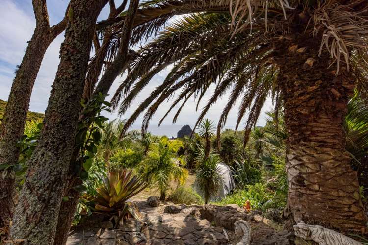 35 Piha Road Piha_20