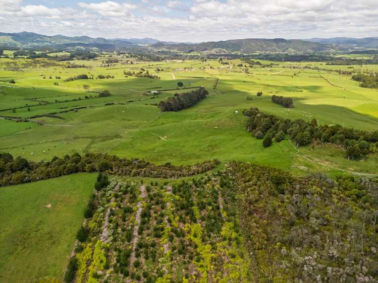 4580 State Highway 12 Kaikohe_13