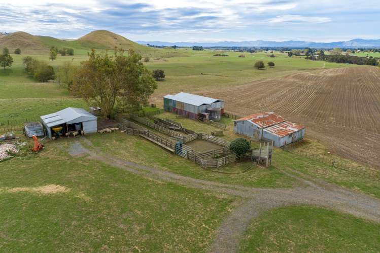 3175 Tahuna-Ohinewai Road Tahuna_7