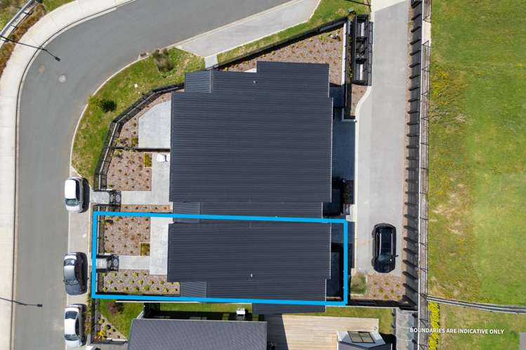 1/17 Halo Green Peacocke_24