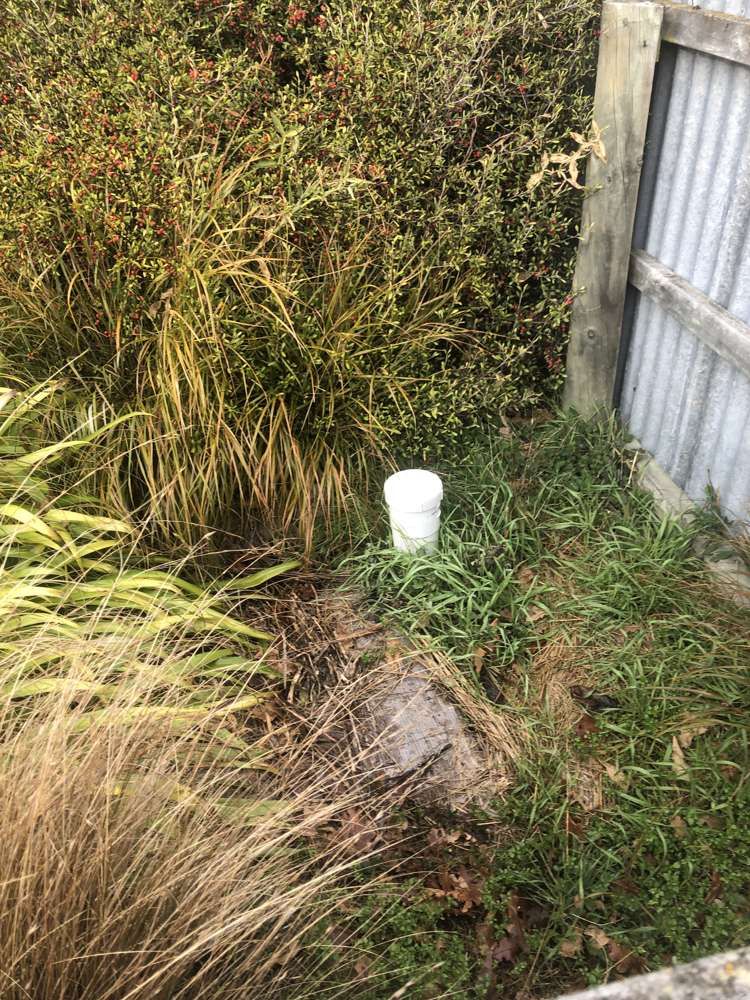 11 Meadow Street Lumsden_12