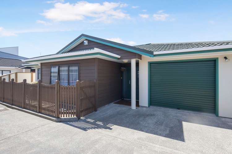 107b Hobart Street Miramar_14