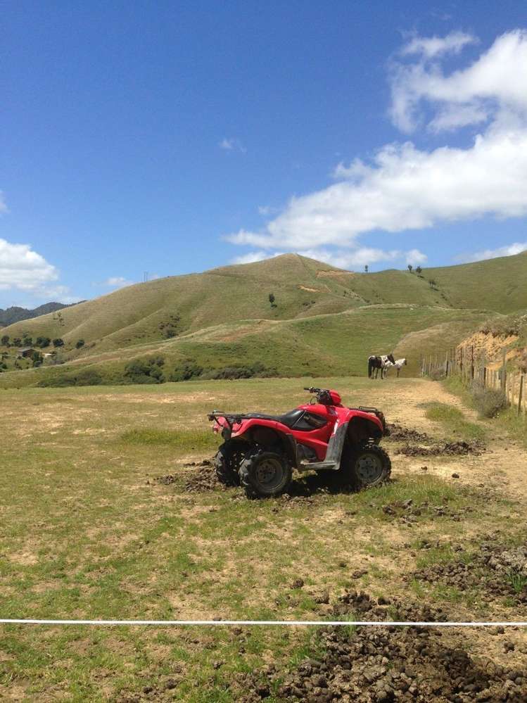 1445 Marokopa Road Marokopa_8