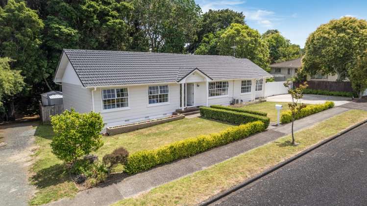 6 Walpole Avenue Hillpark_18