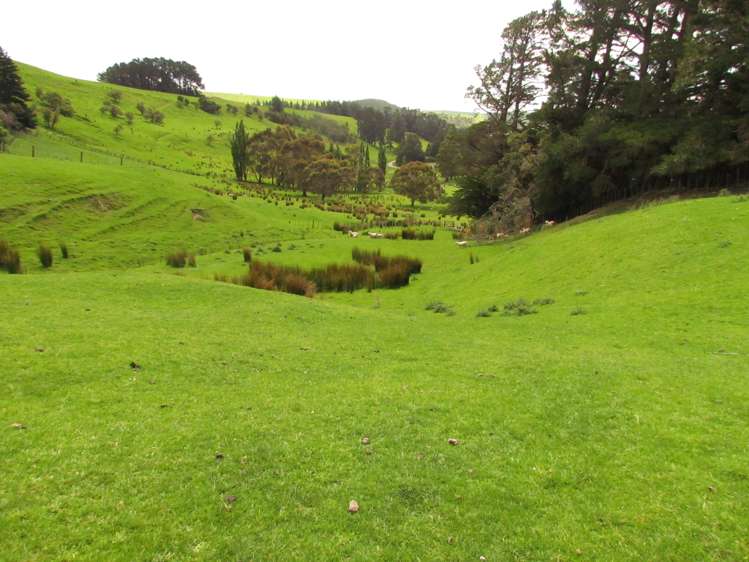 139 Clay Creek Road Ruakokoputuna_10