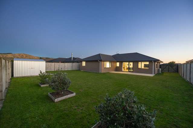 195 Pacific Drive Fitzherbert_2