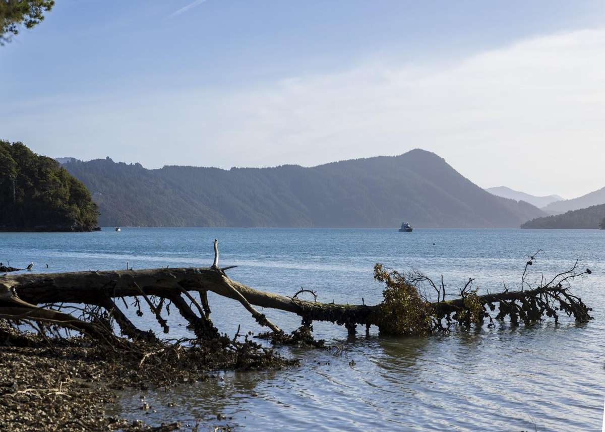 6681 Kenepuru Road_2