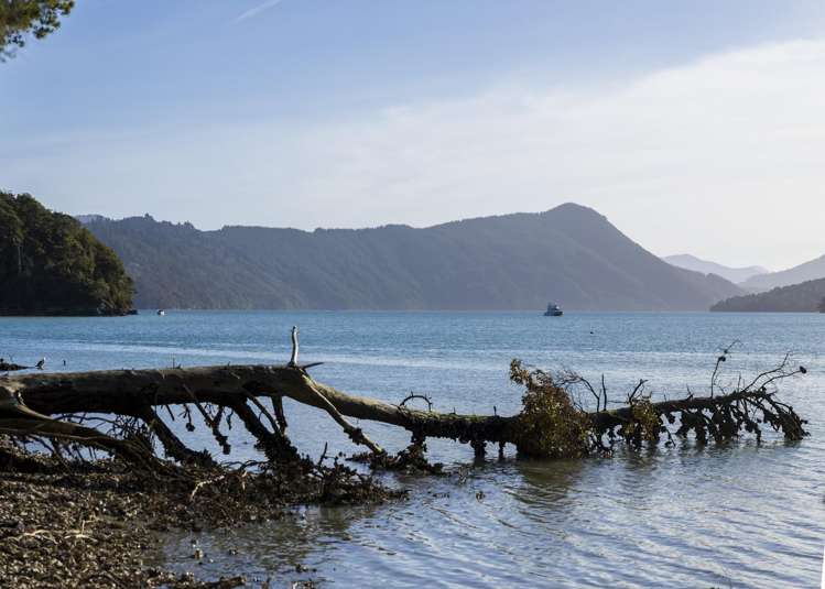 6681 Kenepuru Road Kenepuru Sounds_6