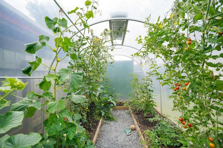 2/168 Balmoral Drive Appleby_17