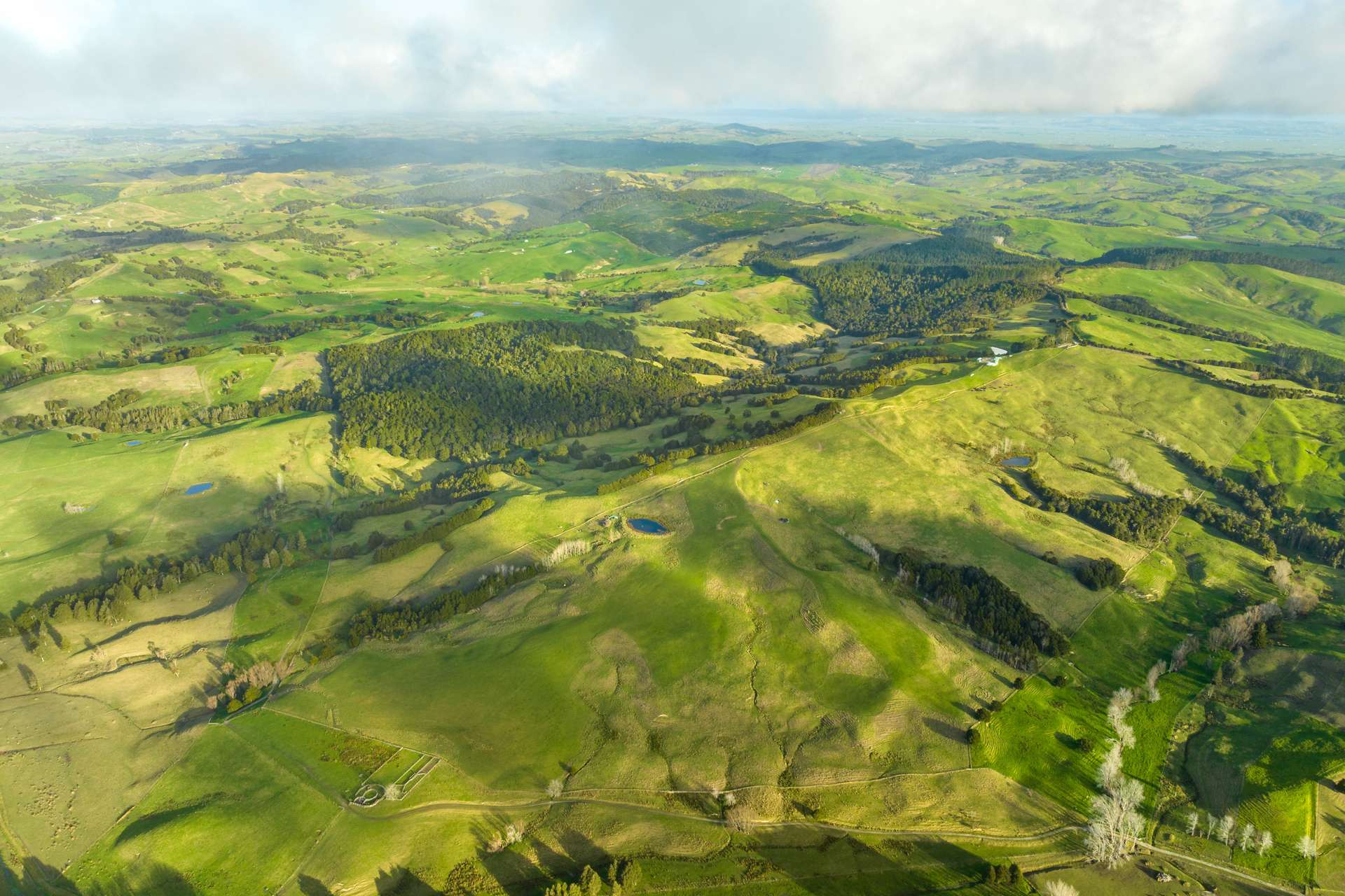 85 Lusk Road Ruawai_0