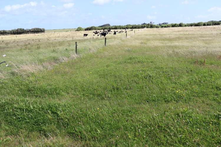 3979 South Road Opunake_4