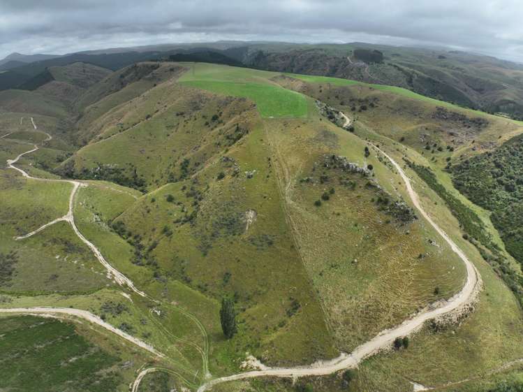 58 McElwee Road, Meadowbanki Palmerston_11