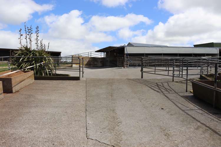 96 Lower Hunter Road Hawera_7