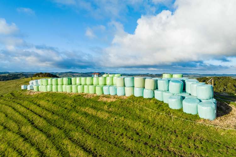 85 Lusk Road Ruawai_19