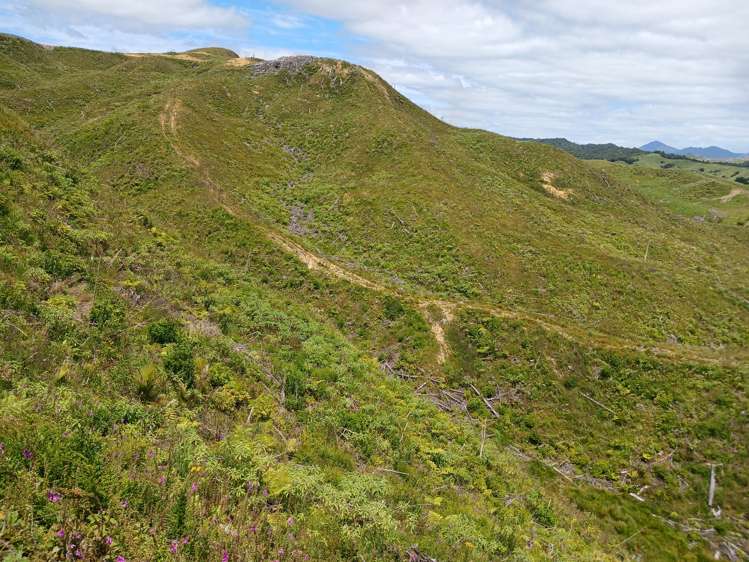 Lot 23 Waiotehue Road Herekino Far North Houses for Sale One Roof