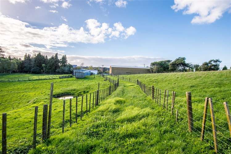 58 Glenmore Road Coatesville_16