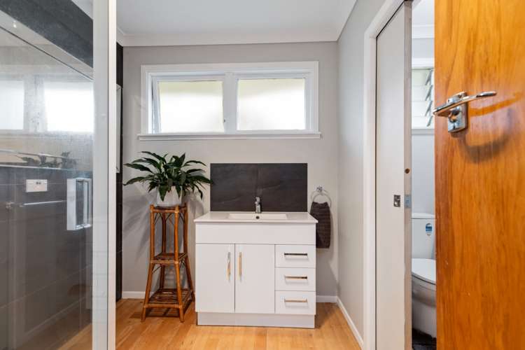 23 Paine Street Judea_12