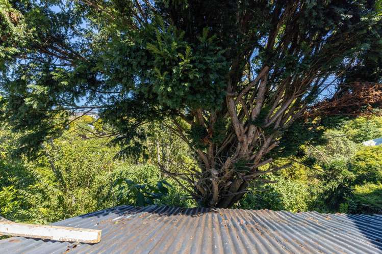 359 Saint Aubyn Street Moturoa_16