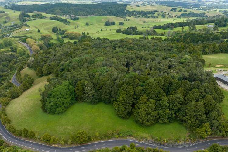 229 Hupara Road Pakaraka_5