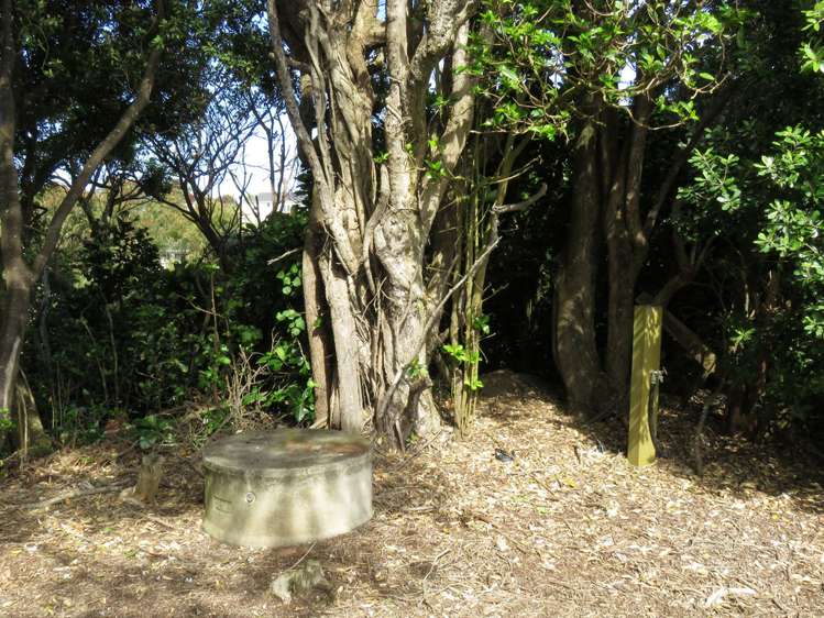 46 Tainui Street Mokau_9