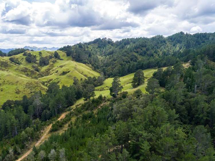 939 Kaiwhata Road Te Wharau_10