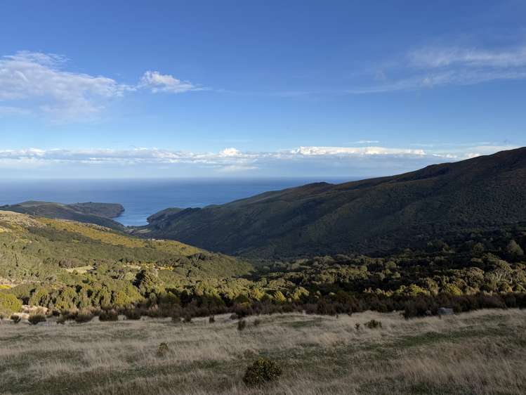490 Long Bay Road Akaroa_7