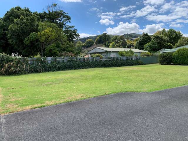 218 Rolleston Street Thames_3