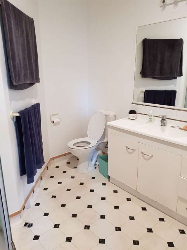 143B Upland Road Kelburn_4