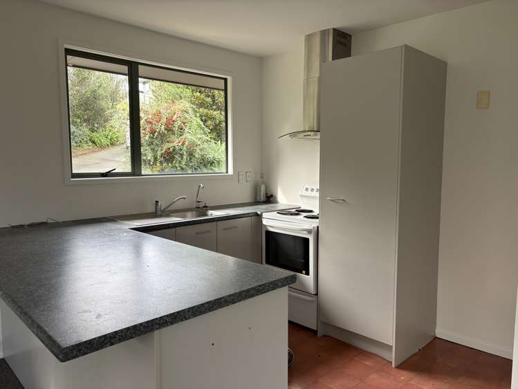 96 Percy Street Warkworth_5