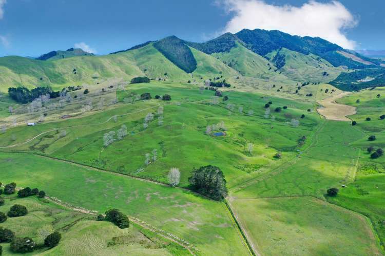 3688 State Highway 14 Tangiteroria_9