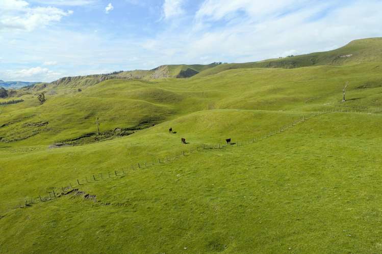 1269 Elsthorpe Road Patangata_6