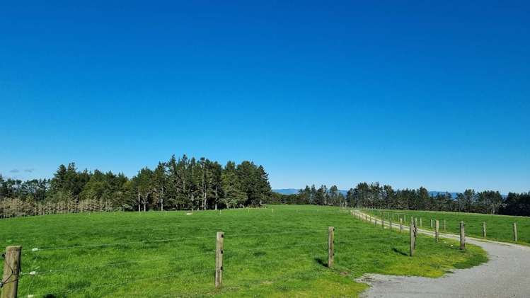 00 Waiare Road Kerikeri_6