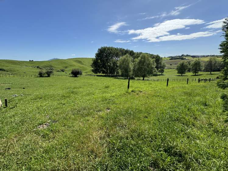 91 Mountain View Road Otorohanga_8