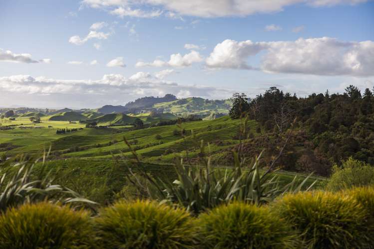 2/339 Maungakawa Road Cambridge_18