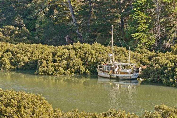 3/8 Harkin Close Albany_15