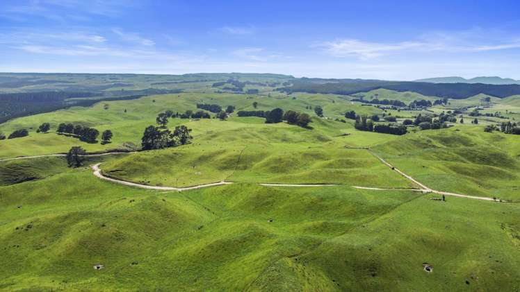 301 Matarawa Road Kinleith_31