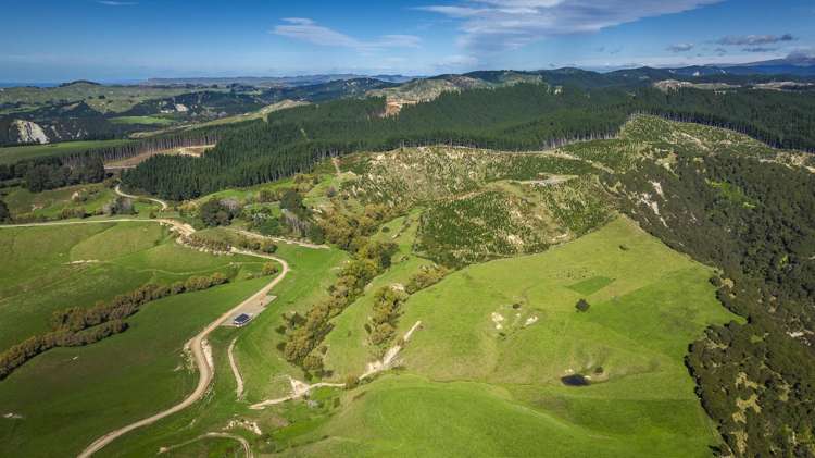 888 Kakariki Farm Road Kotemaori_34