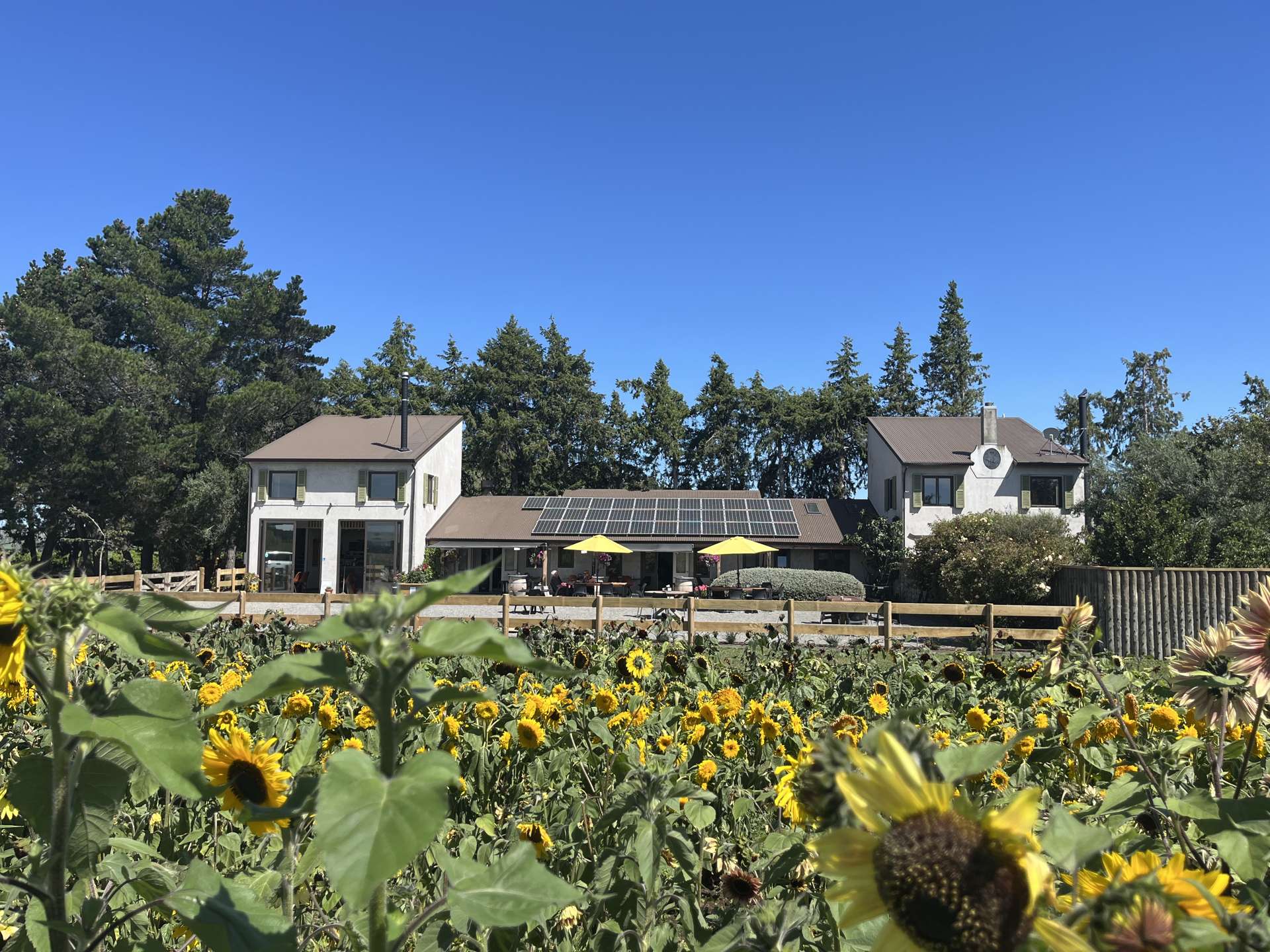 246 Georges Road Waipara_0