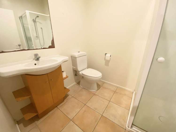 3f Laxon Terrace Remuera_10