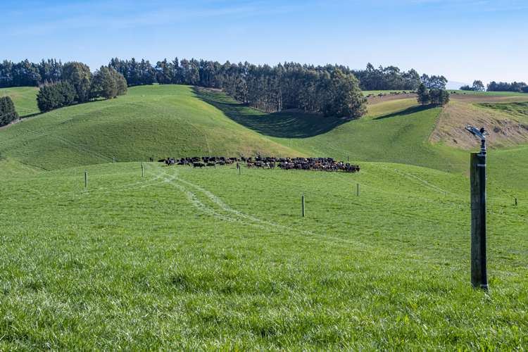 89 Brookstead Road Island Cliff_1