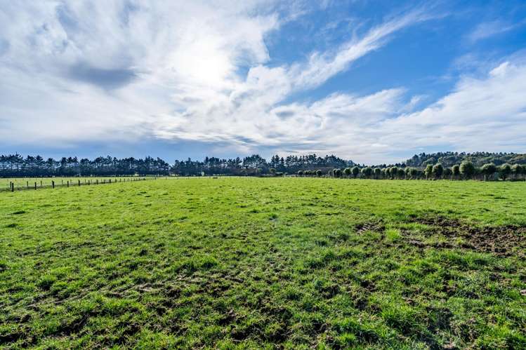 118 Moore Road Lorneville_26