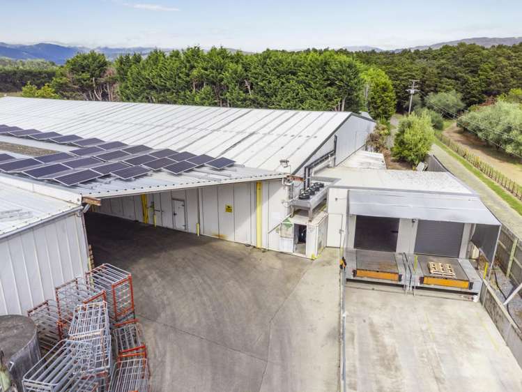 104 Otaki Gorge Road Hautere_21