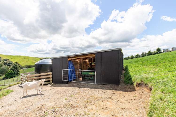 169 Torehape Road West Kaihere_31