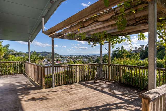 197 Russell Street Whataupoko_3