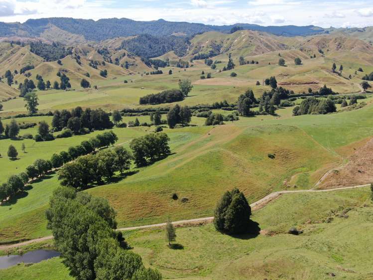 168 Matiere Road Aria_8