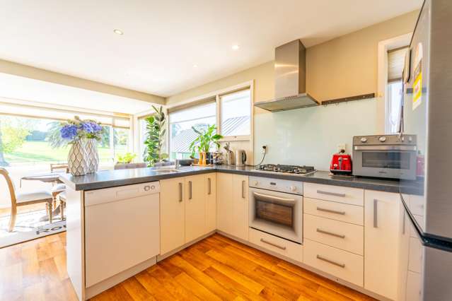 42 Virtue Avenue Maori Hill_3