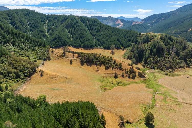 407 Onamalutu Road Wairau Valley_40