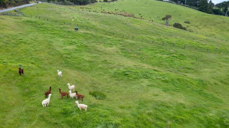 55 M Greenwood Road Leigh_11