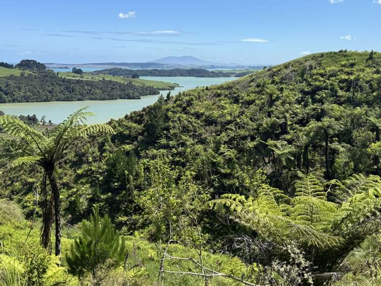 Lot 2 Brown Road Kawhia_11